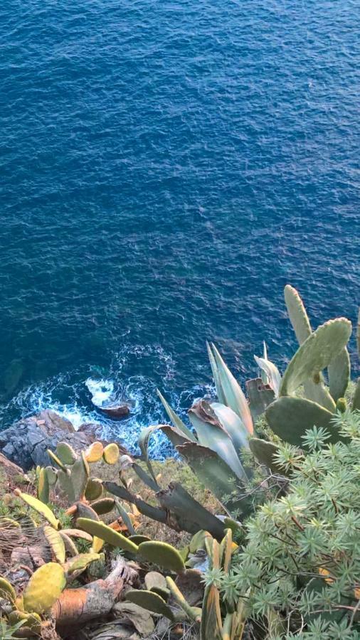 The Pearl Of 5 Terre - Monterosso Monterosso al Mare Exterior photo